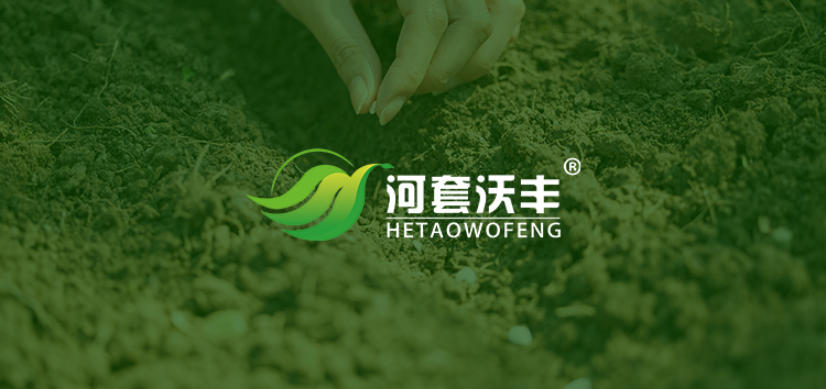 文明上網(wǎng)自律公約